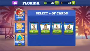 bingo cards florida menu