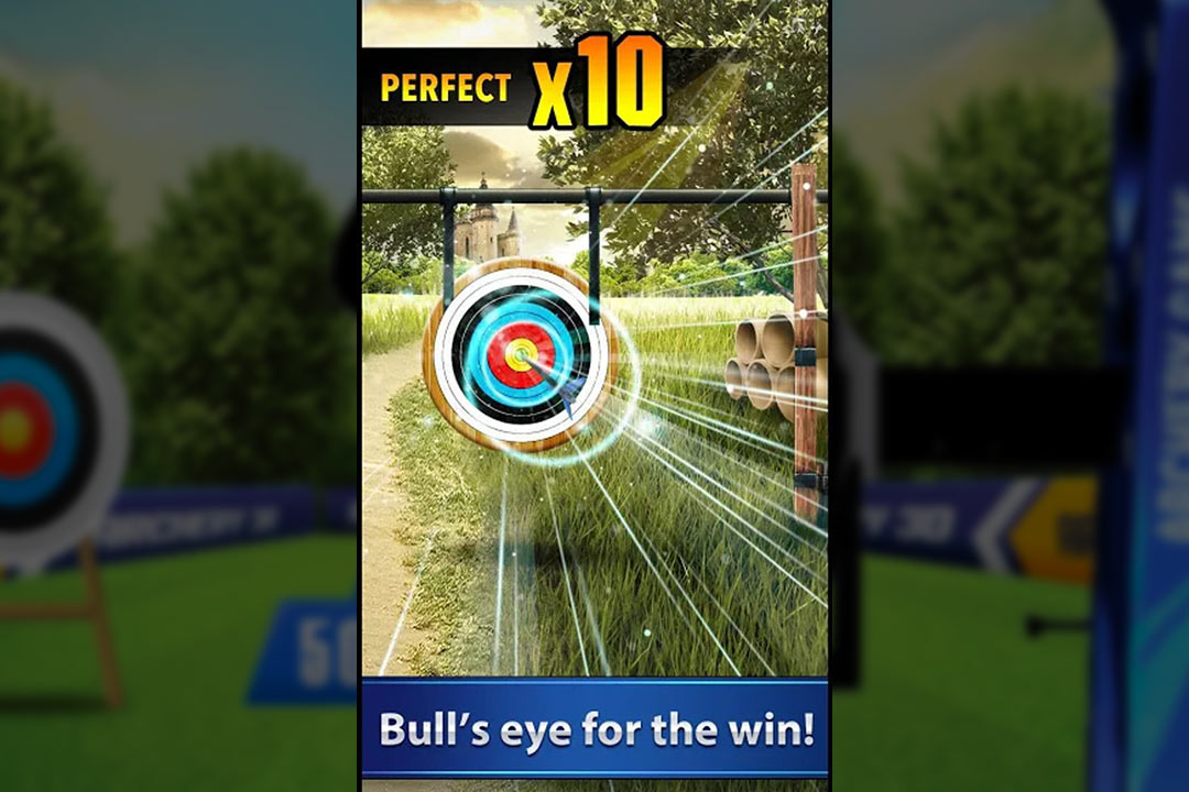 archery 3d shooting perfect