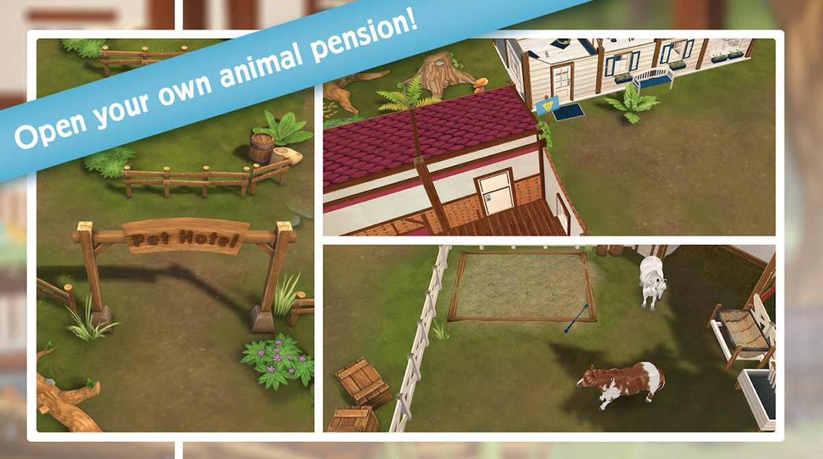 Pet Hotel Build Own Animal Pension