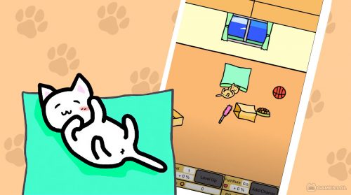 play with cats pc download