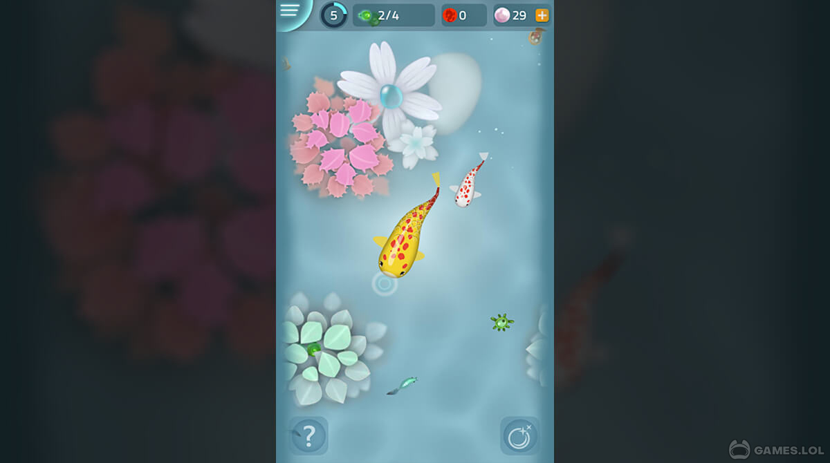 zen koi download full version