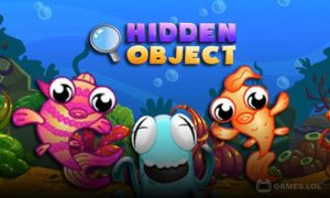 Play Hidden Object  on PC