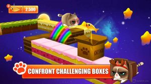 kitty in the box free pc download 1