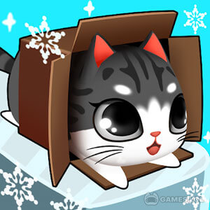 Play Kitty in the Box on PC