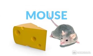 Play Mouse on PC