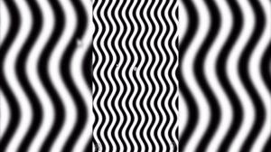 illusion wavy lines illusions