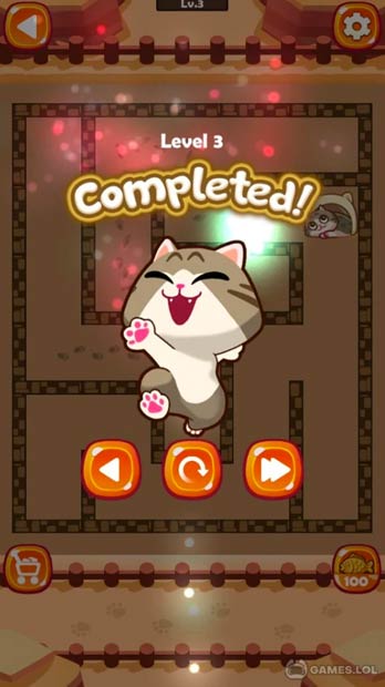 maze cat rookie download full version