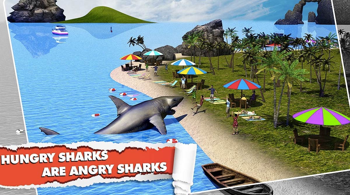 angry shark are hungry sharks