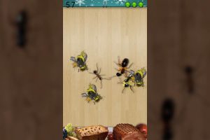 ant smasher christmas also flies