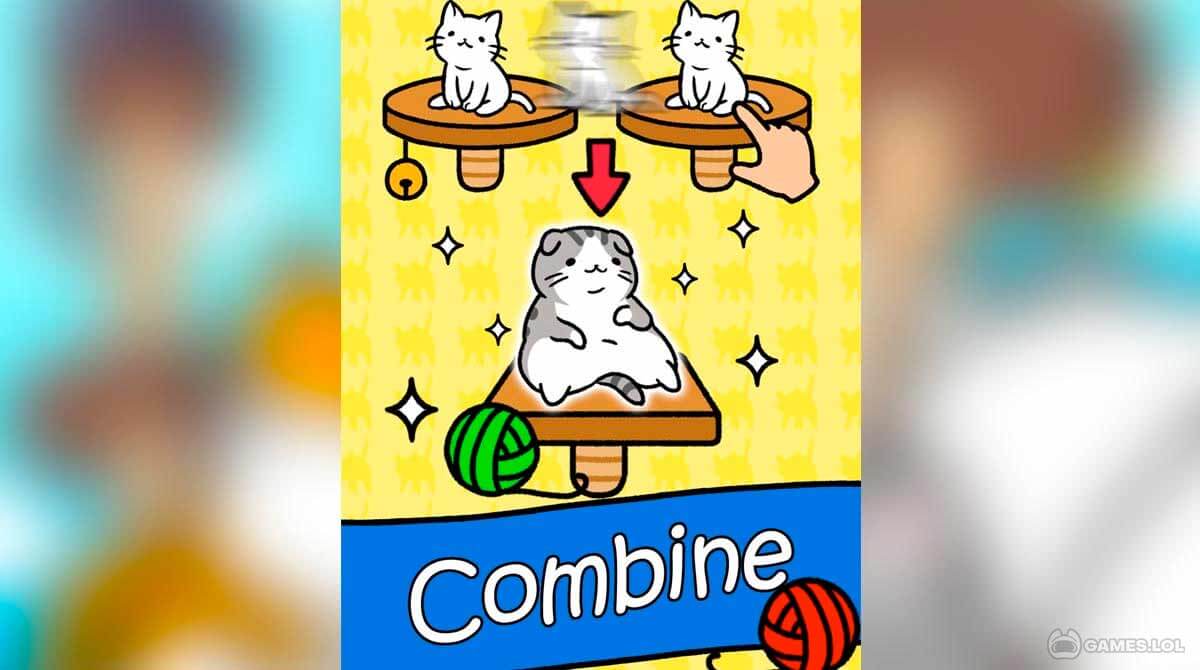 cat condo free pc download