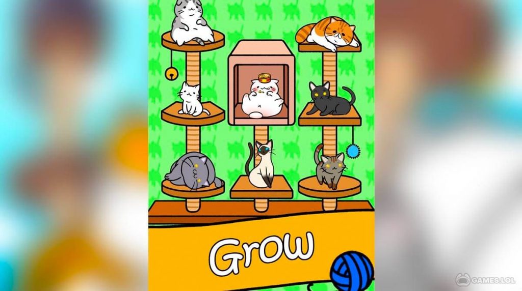 Cat Condo - Games