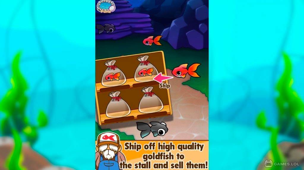 goldfish collection download PC free