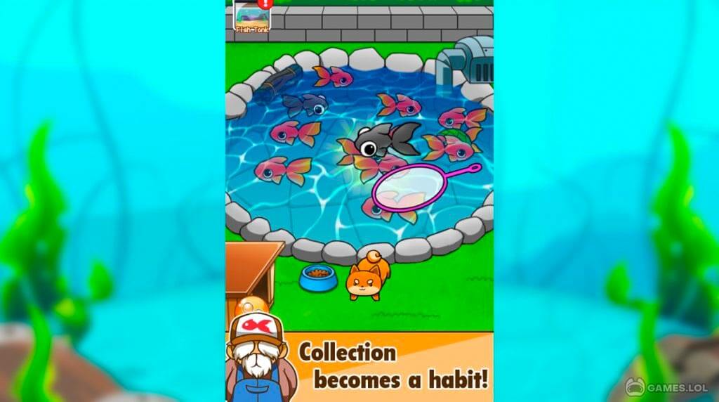 goldfish collection download full version