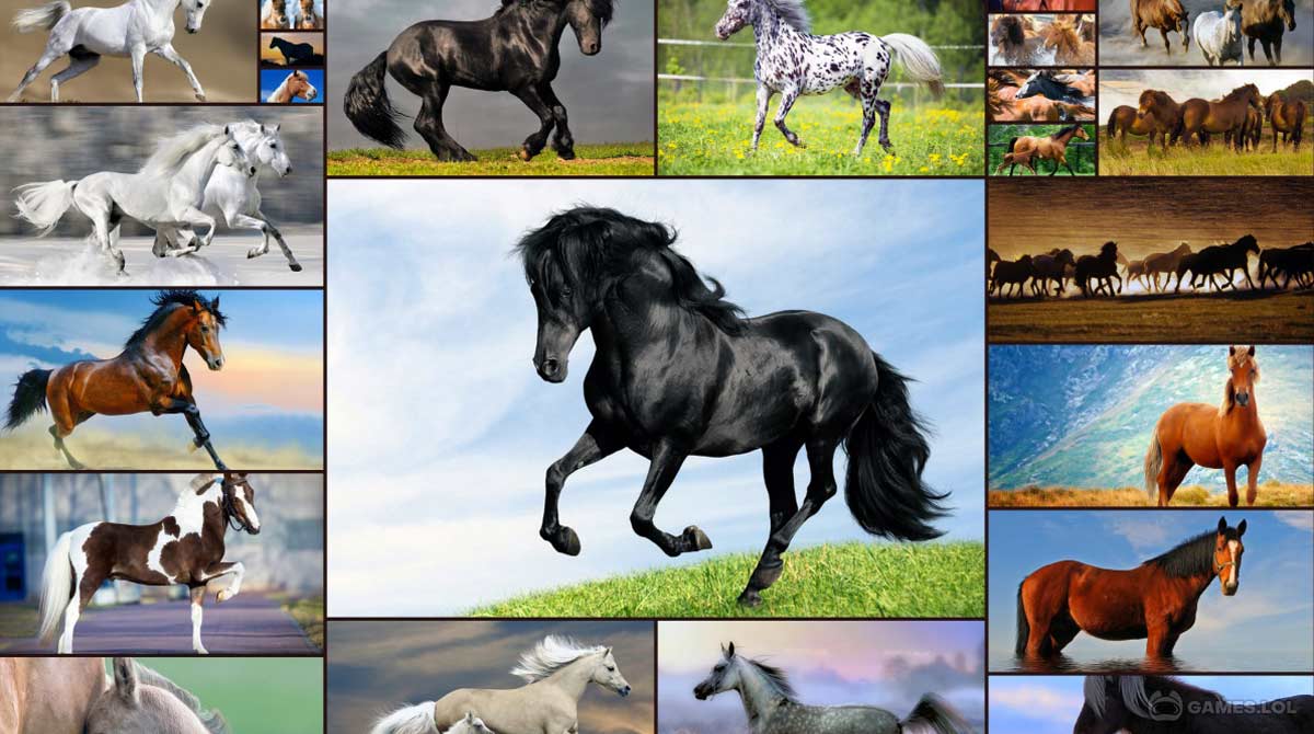 horse jigsaw download free