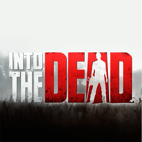 Into the Dead zombie survival