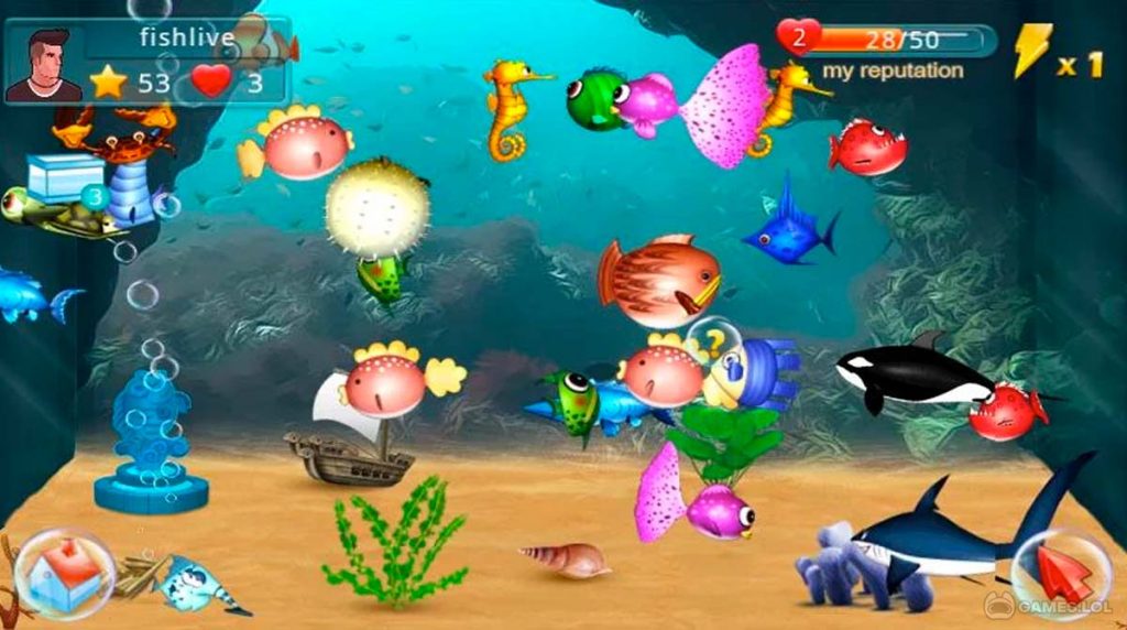 Fish Live  Download Fish Live to Your PC for Free