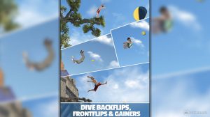 flip diving download full version