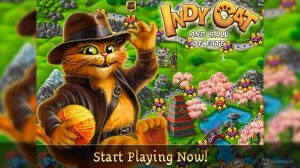 indy cat for vk download full version
