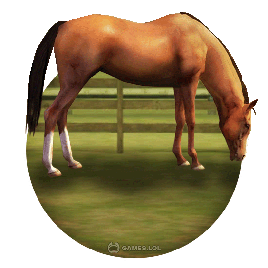 my horse pc game