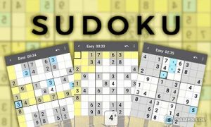 Play Sudoku Genina on PC