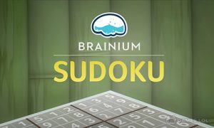 Play Sudoku on PC