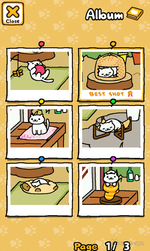 neko atsume for pc