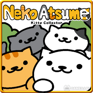 Play Neko Atsume: Kitty Collector on PC