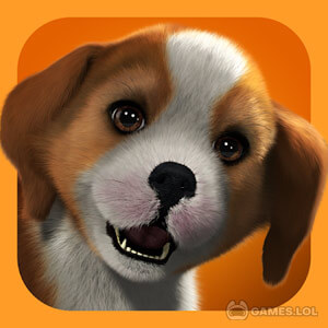 PS Vita Pets Puppy Parlour, #1 Puppy Parlor Game