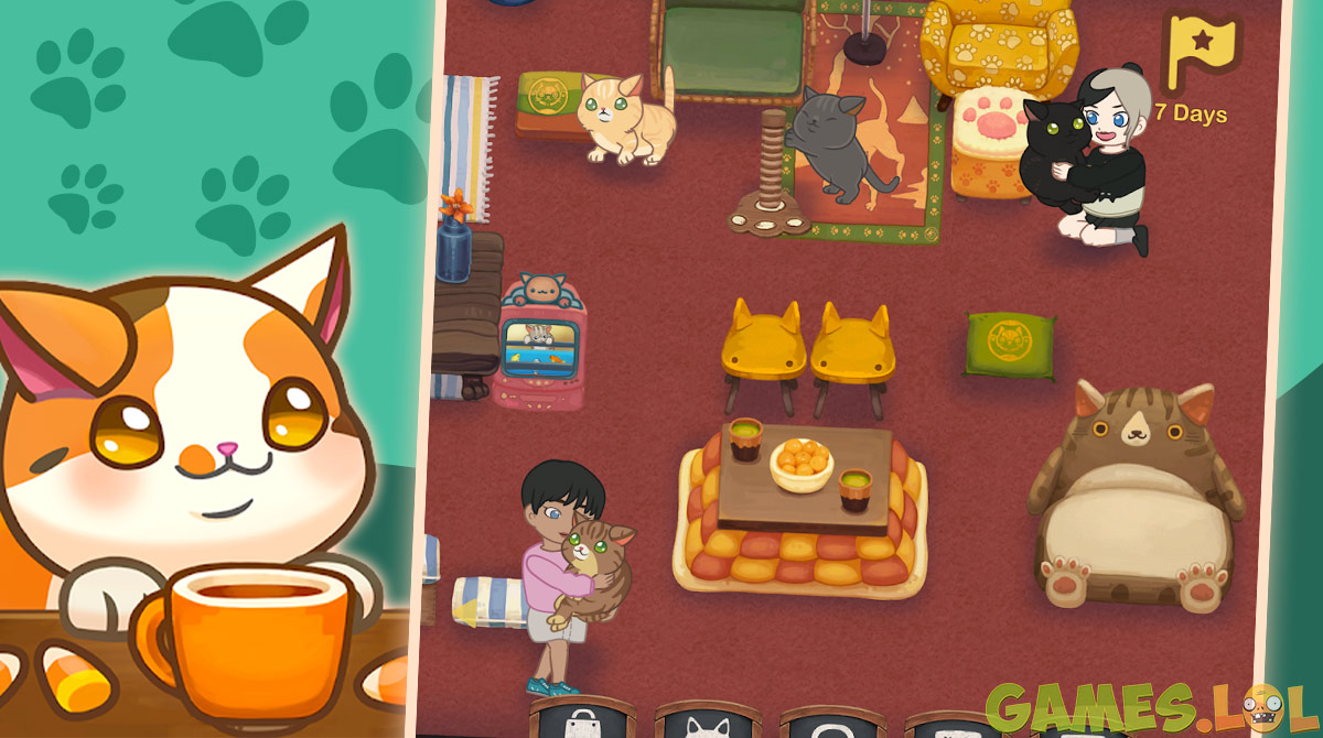 Furistas Cat Cafe Pet Friendly