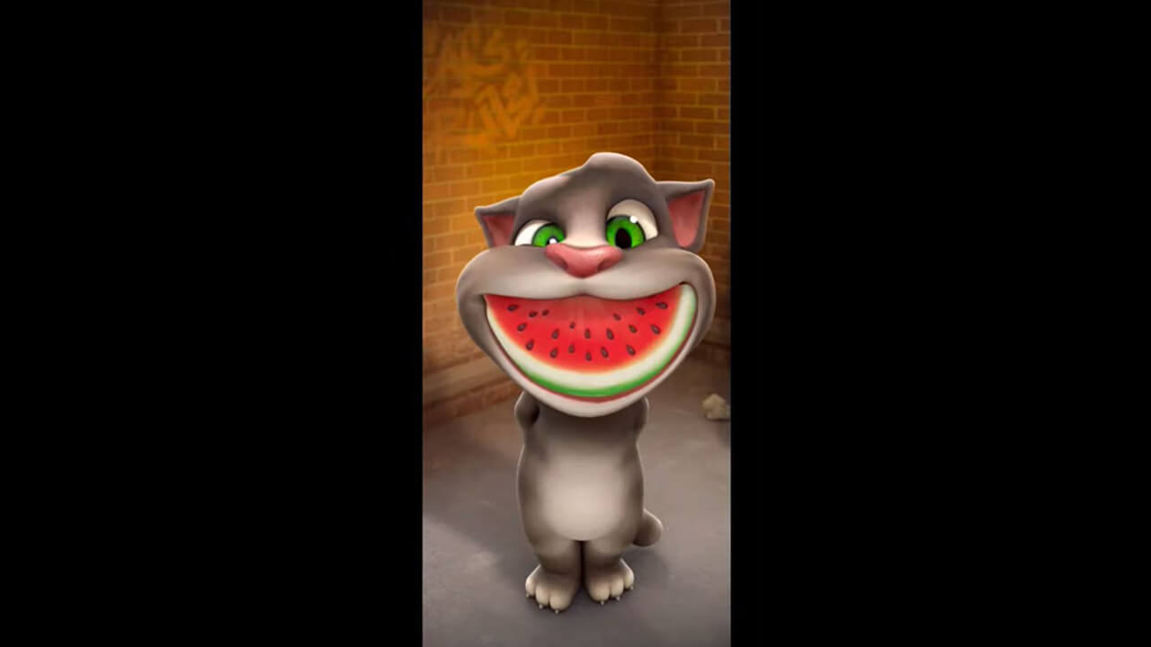 Talking Tom Cat Watermelon Smile