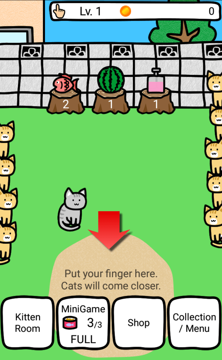 Play With Cats Online