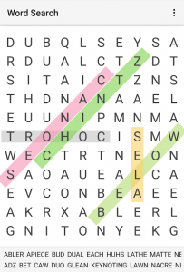 word search unblocked