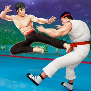 Play Tag Team Karate Fighting Games: PRO Kung Fu Master on PC