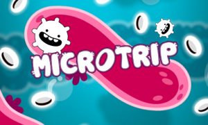 Play Microtrip on PC