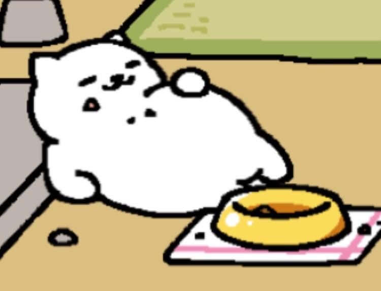 Neko Atsume Tubbs