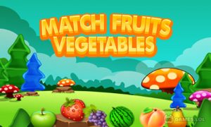 Play Match fruits vegetables on PC
