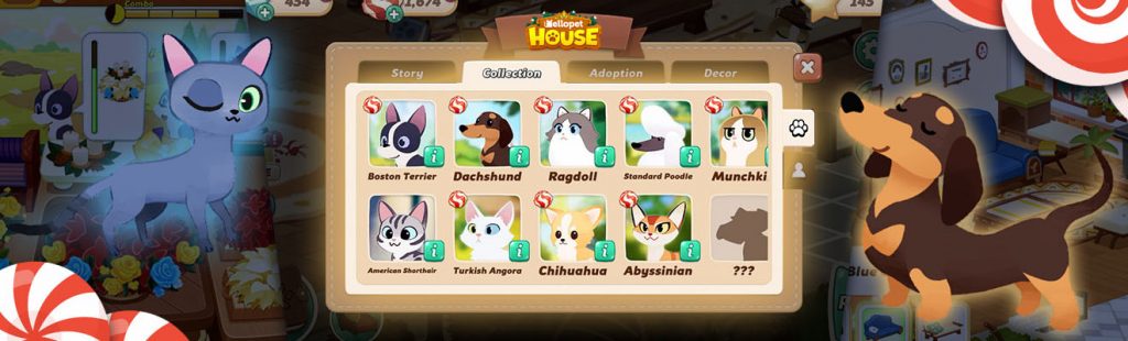 hellopet house tips and tricks