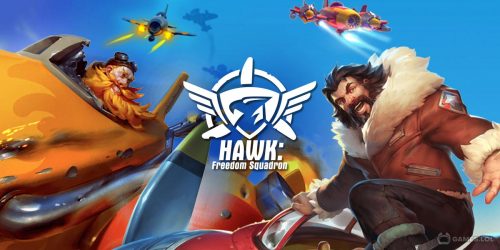 Play HAWK: Airplane games. Shoot em up on PC