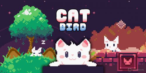 Play Cat Bird on PC
