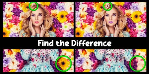 Play Find the Difference: Pictures on PC
