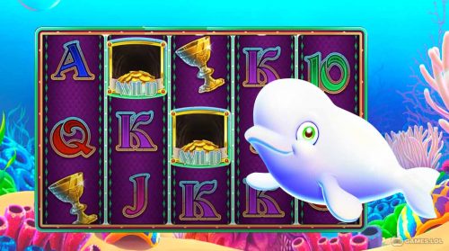gold fish casino gameplay on pc