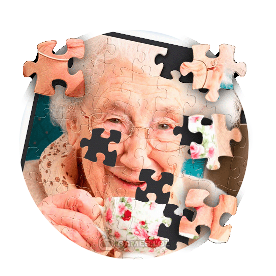 jigsaw puzzles adult pc game 1