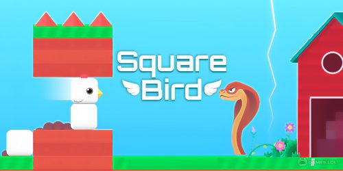 Play Square Bird – Flappy Chicken on PC