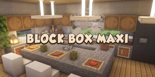 Play Block Box Maxi on PC