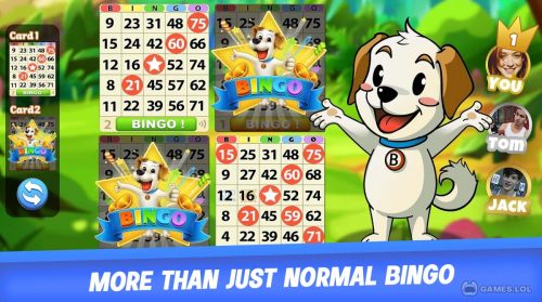 bingo journey free pc download