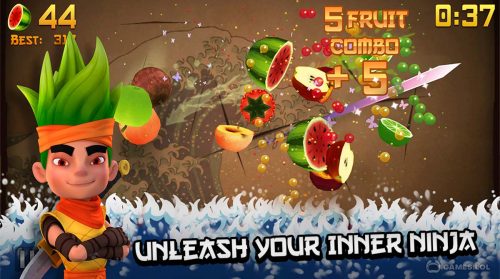 fruit ninja free pc download