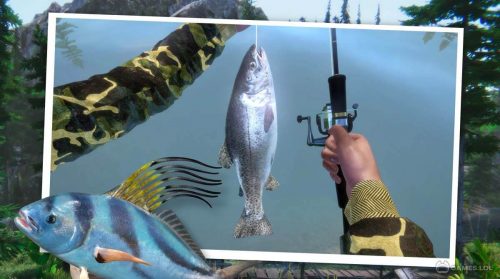 ultimate fishing gameplay on pc