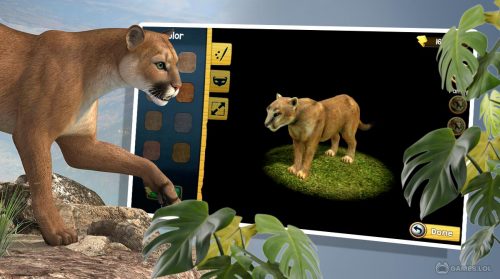 wild cougar for pc