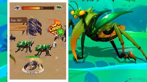 insect evolution for pc
